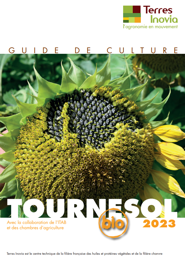 Avantages de la culture du tournesol mis en avant par Terres Inovia