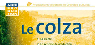 Le-Colza-monographie_p.png