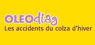 oleodiag.png