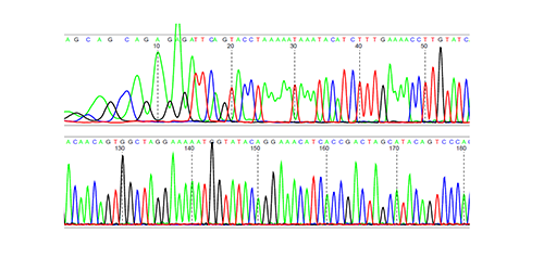 Insectes_ravageurs_-caracterisation_resistance_pyrethrinoides_mutation_kdr.png