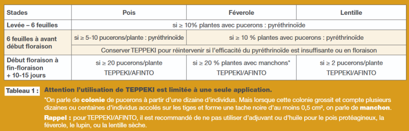 ravageurs légumineuses Terres Inovia