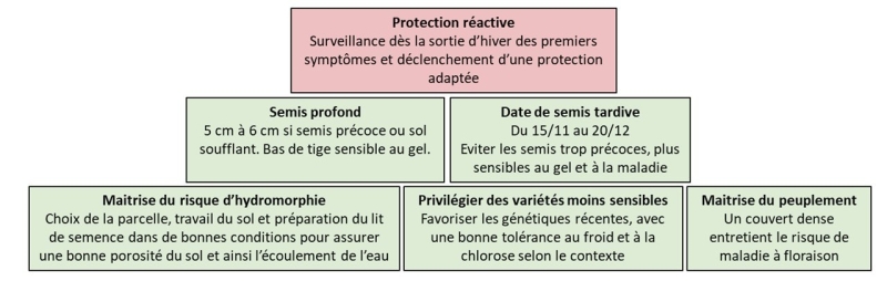 Leviers agronomiques limitant la sensibilité au complexe maladies du pois d'hiver