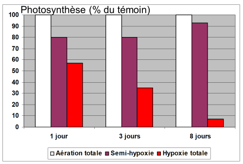 Graphique sur l'impact hydromorphie sur la photosynthèse du colza