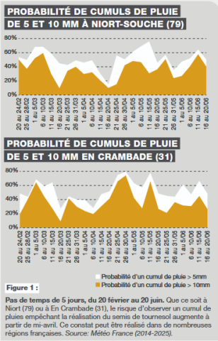 implantation tournesol Terres Inovia