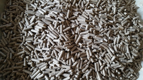 tourteau de tournesol