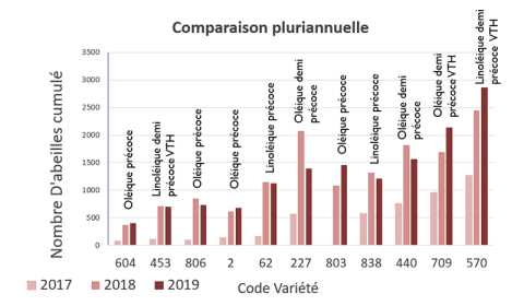comparaison plurinanuelle abeilles et variétés tournesol