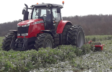 destruction des couverts avant implantation tournesol