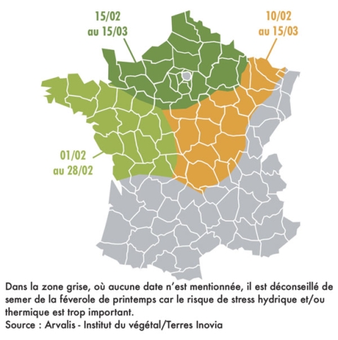 dates de semis féverole bio