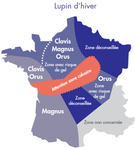 carte des variétés pour le lupin