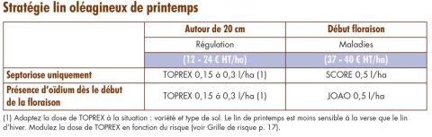 stratégie lin oléagineux de printemps oïdium et septoriose