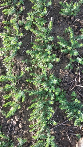 Veronique LIERRE LOH