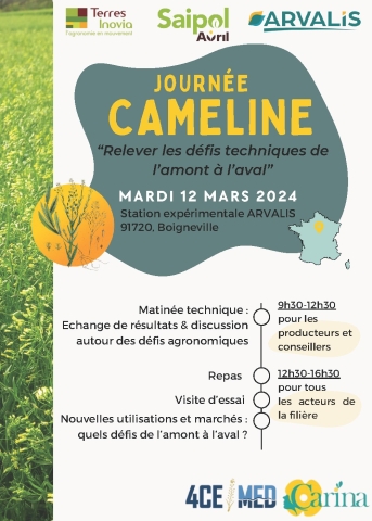 cameline