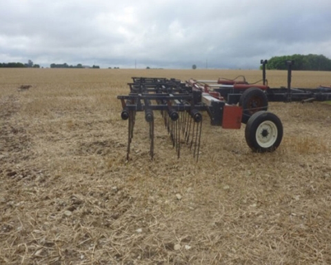 labour repris à la dent ou travail à la dent