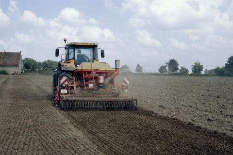 semis direct et strip-till du colza
