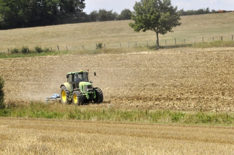 gestion des pailles colza