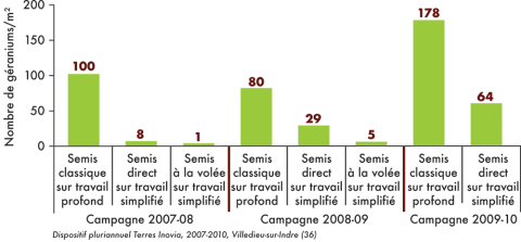 comptage géraniums dans le colza
