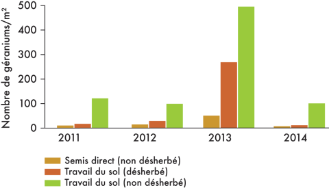 semis du colza géranium