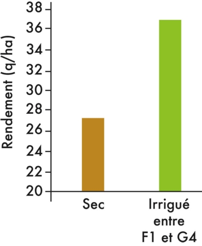 rendement par stade d